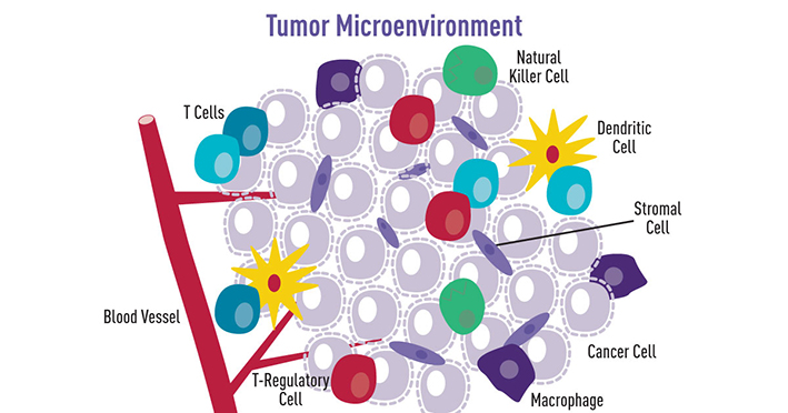 Researchers Develop New Method To Estimate Cell-type-specific ...